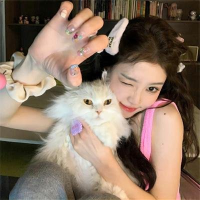 托托的色彩美学观