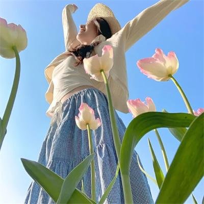 疯狂的麦咭第五季